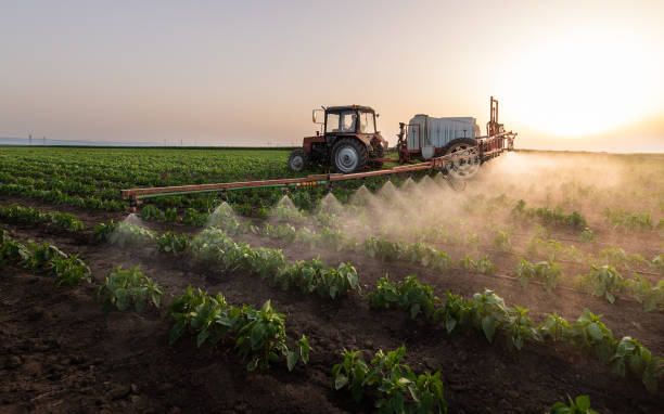 Best Wildlife Control Services  in Lodi, CA