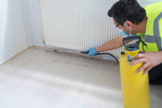 Best Affordable Pest Control Services  in Lodi, CA